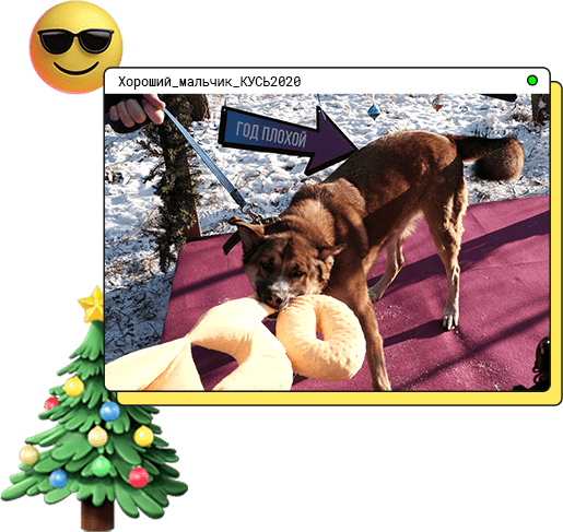 Хороший_мальчик_КУСЬ2020
