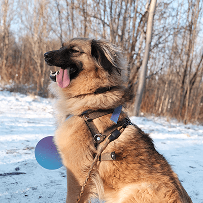 Фотография Моти