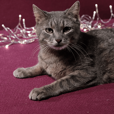 Фотография Каталины