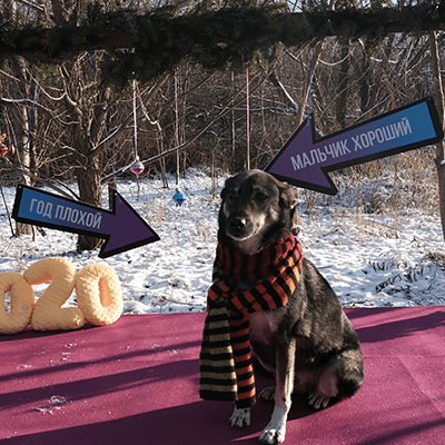 Фотография Лизы