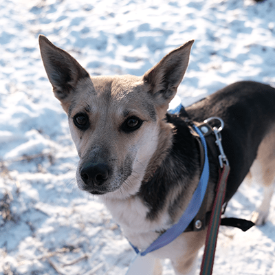 Фотография Лоры