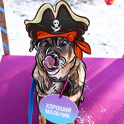 Смешная фотография Пирата