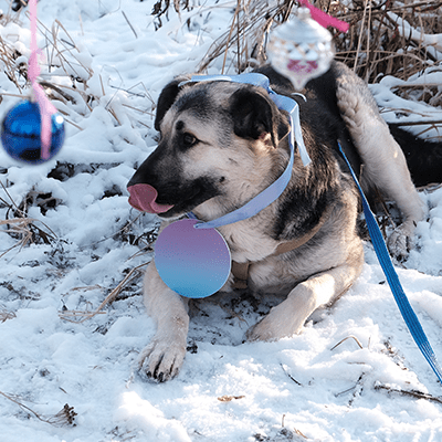 Фотография Лайзы