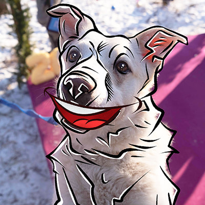 Смешная фотография Рокки