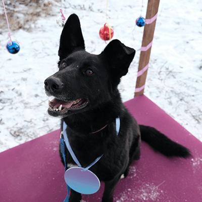 Фотография Венеры