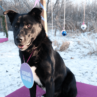 Фотография Шварца